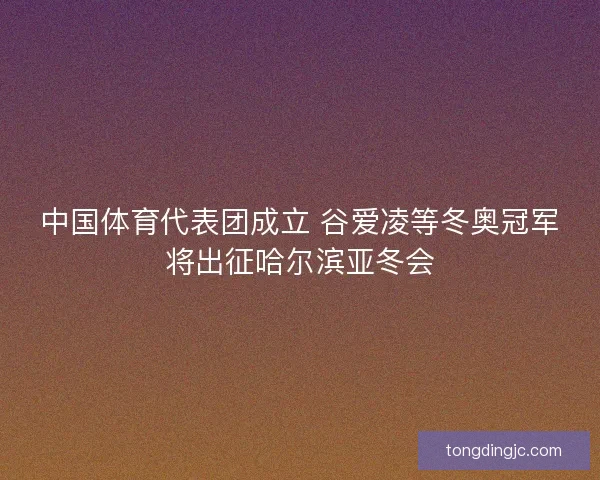 中国体育代表团成立 谷爱凌等冬奥冠军将出征哈尔滨亚冬会