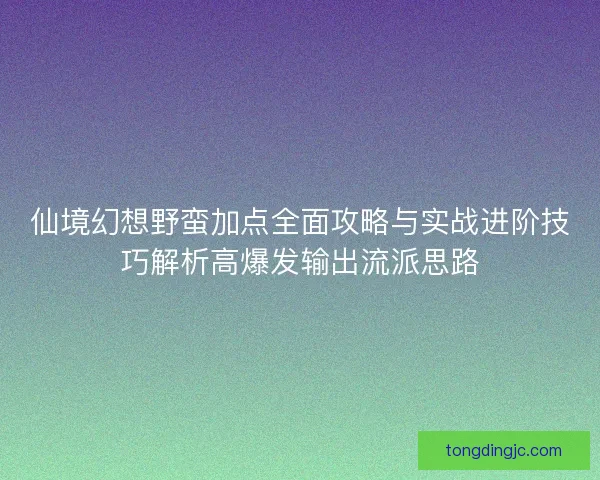 仙境幻想野蛮加点全面攻略与实战进阶技巧解析高爆发输出流派思路